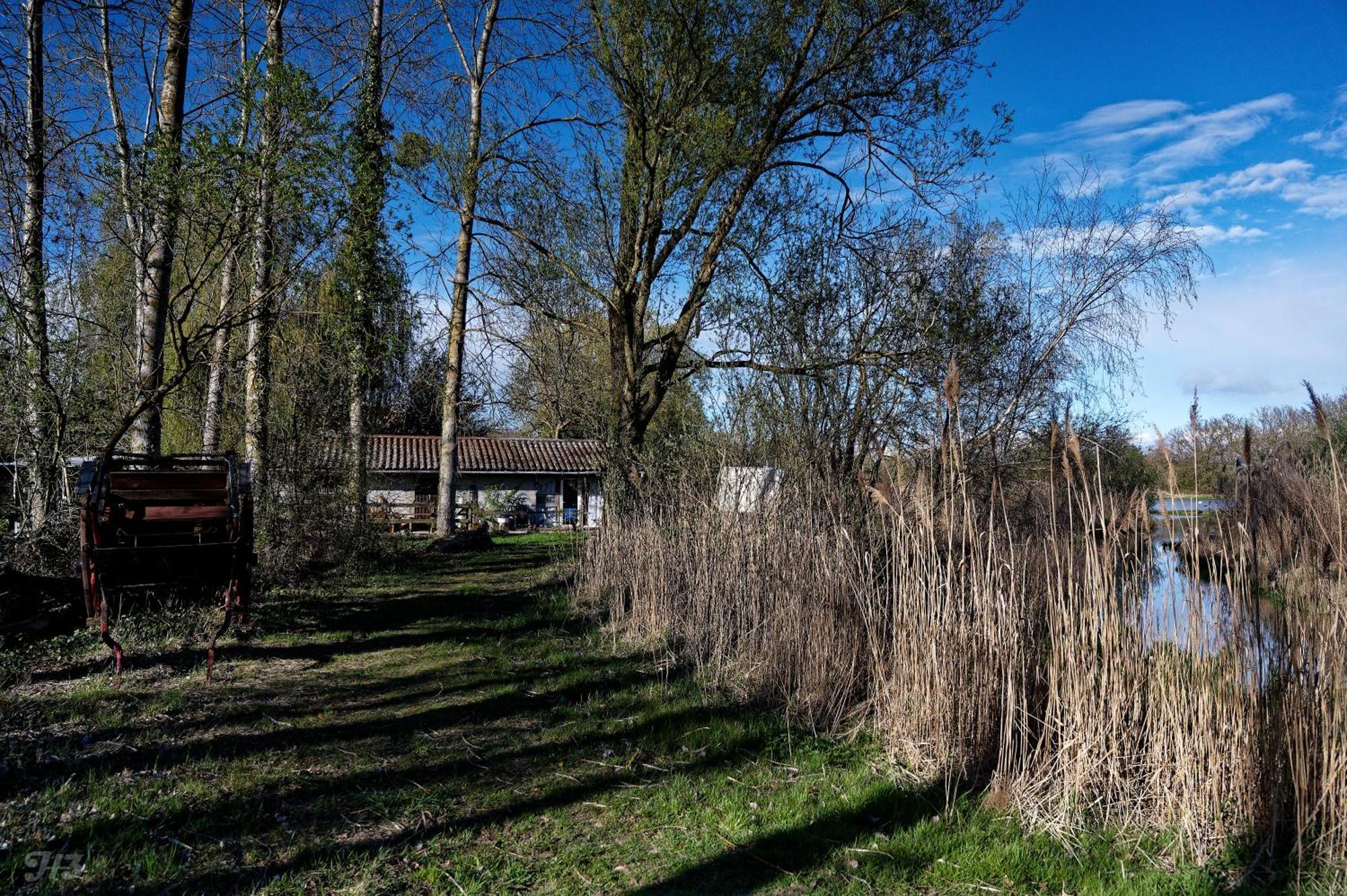 Espace Nature Studio Independant Proche Du Parc Des Oiseaux Sainte-Olive Exterior photo